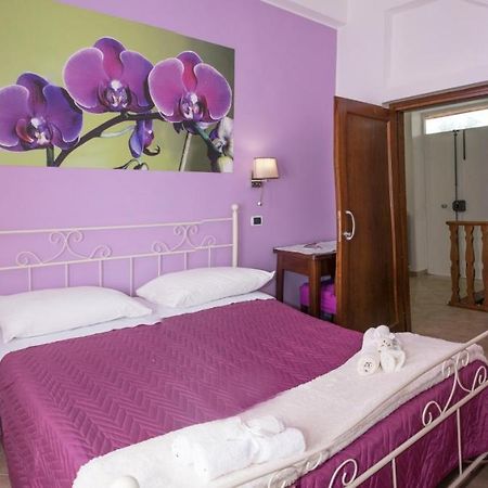 فيكو إيكوينس Vivere A Colori المظهر الخارجي الصورة