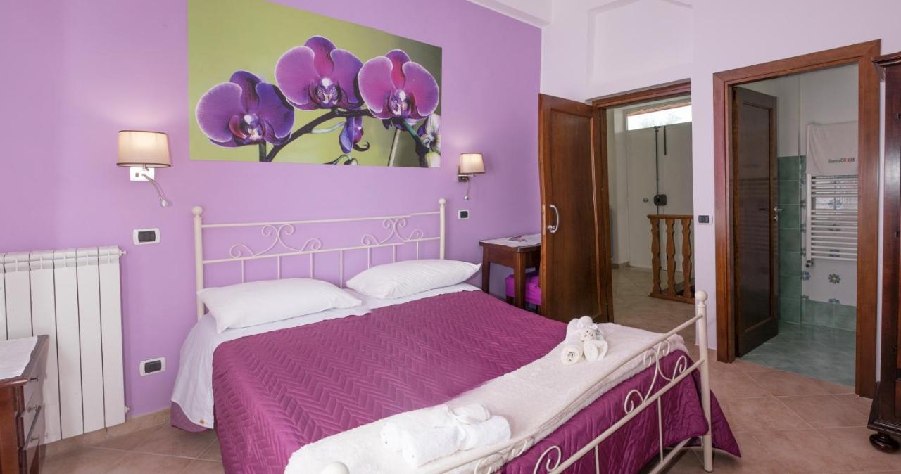 فيكو إيكوينس Vivere A Colori المظهر الخارجي الصورة
